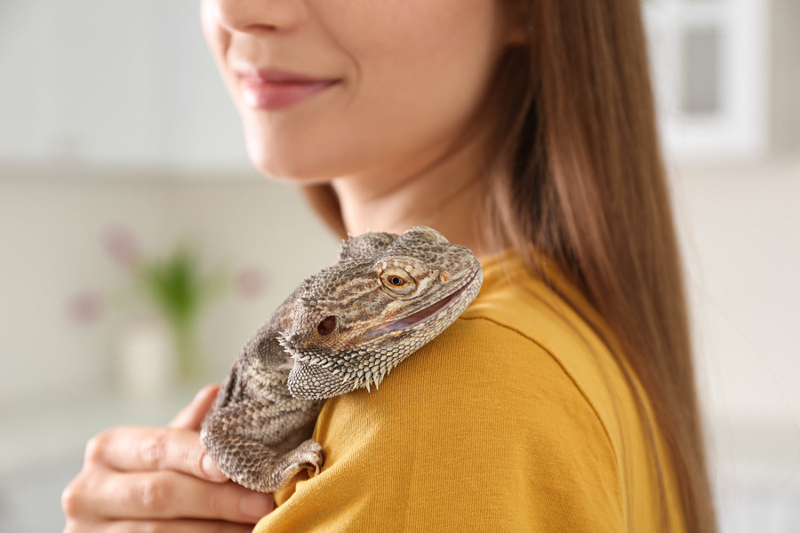 Woman holding bearded lizard indoors